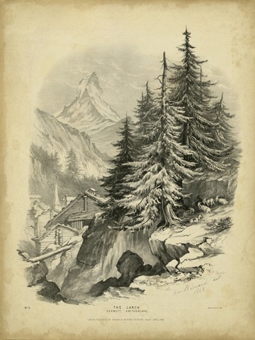 The Larch