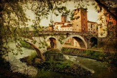 Through the Sycamores