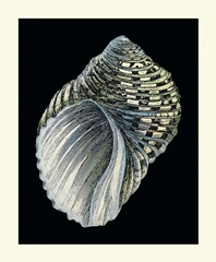 Treasures of the Sea III