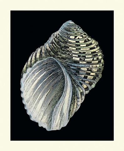 Treasures of the Sea III