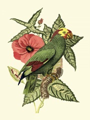 Tropical Birds and Botanicals I
