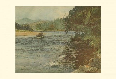 Trout Fishing