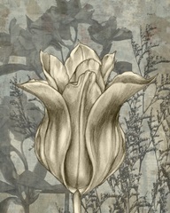 Tulip and Wildflowers III