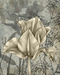 Tulip and Wildflowers IV