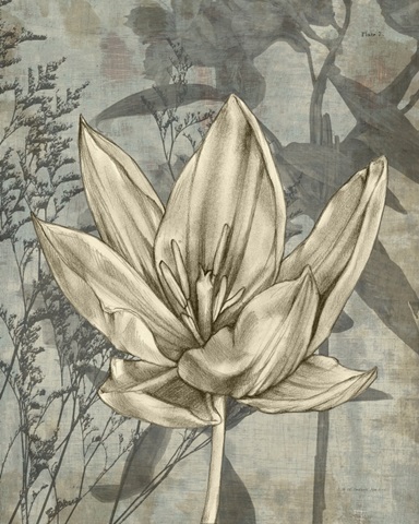 Tulip and Wildflowers VI