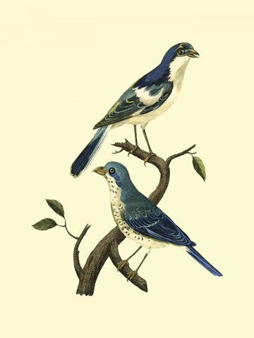 Vintage Bird Pair I