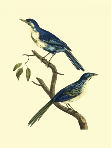 Vintage Bird Pair II