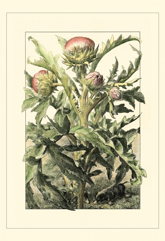 Wildflower Field III