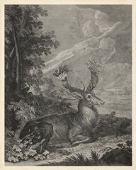 Woodland Deer III
