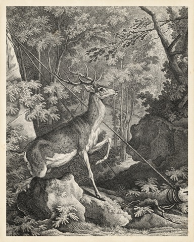 Woodland Deer VII