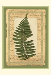 Woodland Scrapbook I