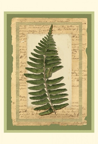 Woodland Scrapbook I