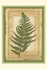 Woodland Scrapbook II