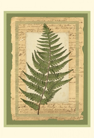 Woodland Scrapbook II