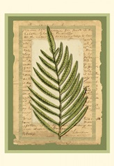 Woodland Scrapbook III