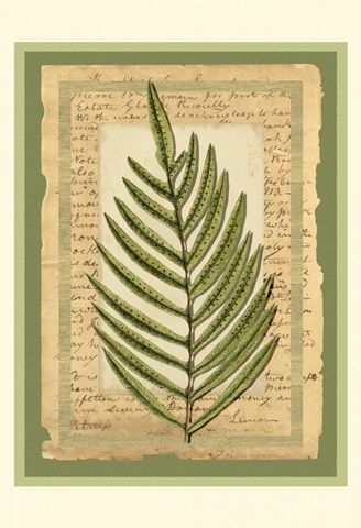 Woodland Scrapbook III