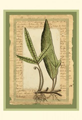 Woodland Scrapbook IV