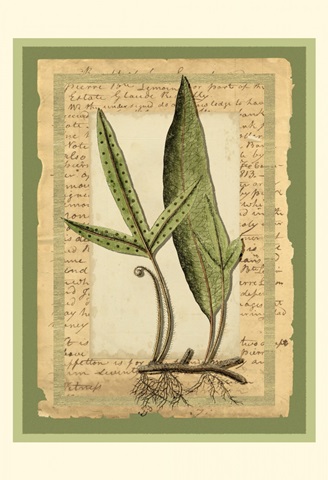 Woodland Scrapbook IV