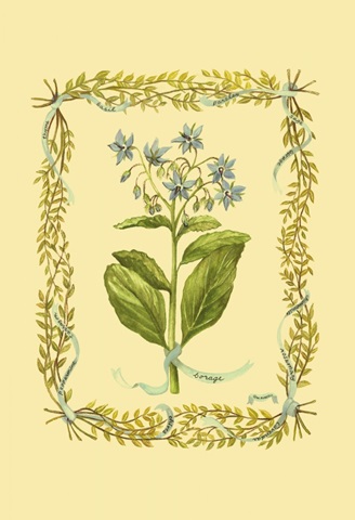 Borage