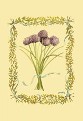 Chives