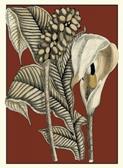 Exotic Botanical I