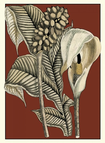 Exotic Botanical I