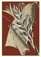 Exotic Botanical II