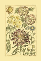 Floral Bounty I
