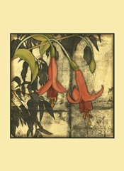 Mini Fuchsia and Silhouette IV