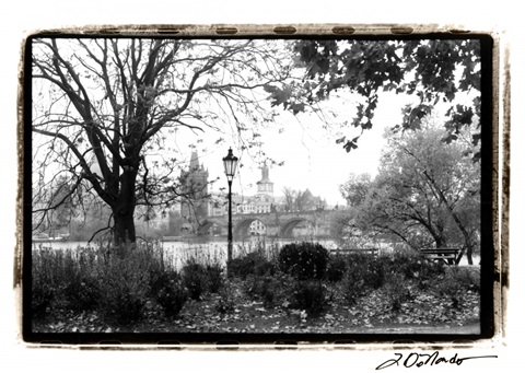 Early Morning Riverwalk