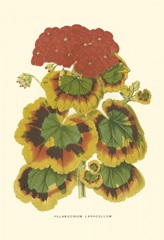 Hybrid Varieties III