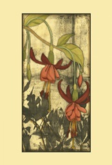 Mini Fuchsia and Silhouette VI