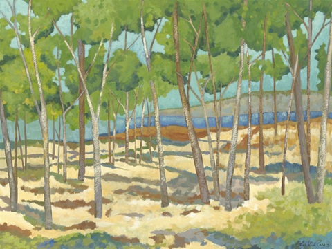 Mini Western Vista I