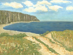 Mini Western Vista VII