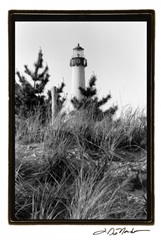 Cape May Afternoon I