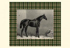 Equestrian Plaid I