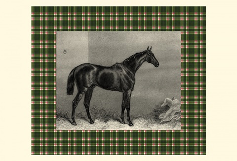 Equestrian Plaid I
