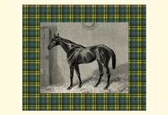 Equestrian Plaid II