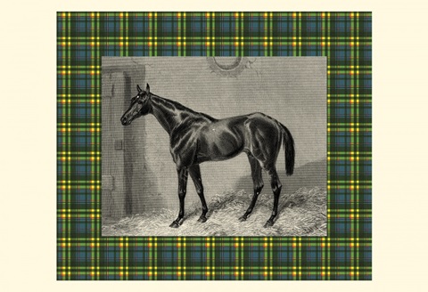 Equestrian Plaid II