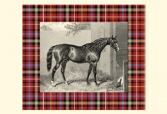 Equestrian Plaid III