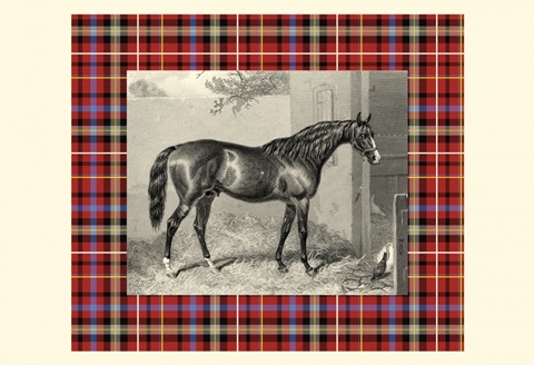 Equestrian Plaid III