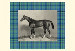 Equestrian Plaid IV