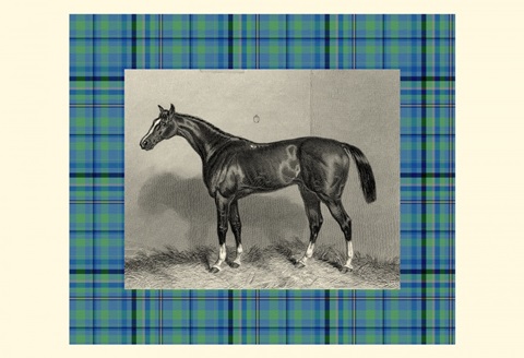 Equestrian Plaid IV