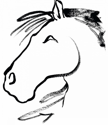 Equine Profile I