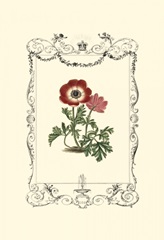 Garden Charm I