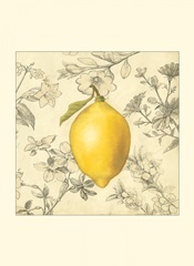 Lemon and Botanicals