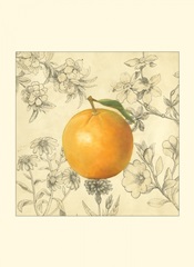 Orange and Botanicals