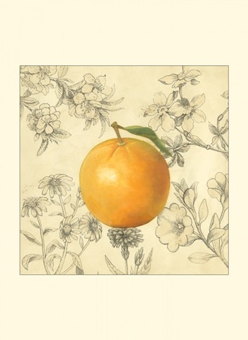 Orange and Botanicals