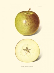 Apple I