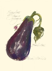 Eggplant Solanum Melongena